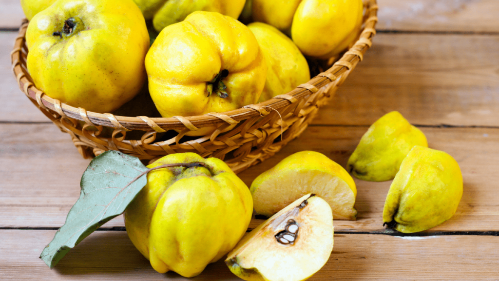 In today's article I will discuss the miraculous autumn fruit with 100 properties, with a special aroma: Quinces, I will start with an overview, I will continue with nutritional values, 8 health benefits, uses, and finally about the side effects of quince.